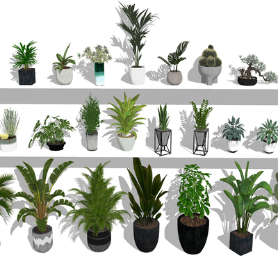 现代植物盆栽su模型