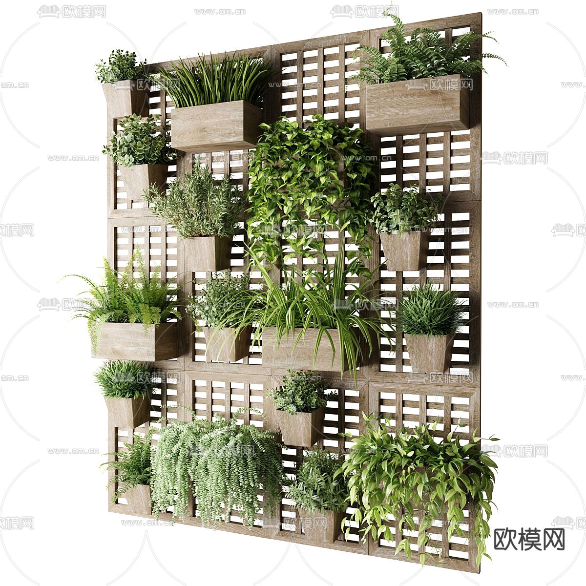 吊篮 盆栽 植物墙3d模型
