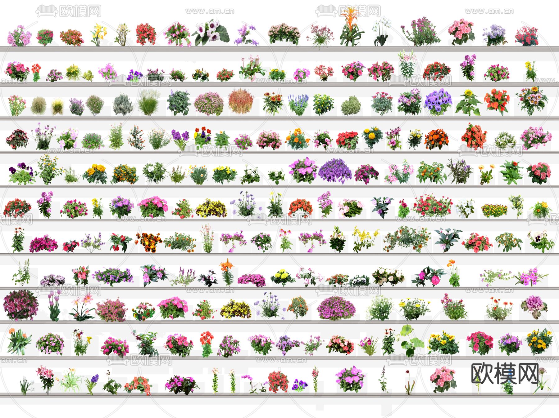 现代花卉2d组件su模型