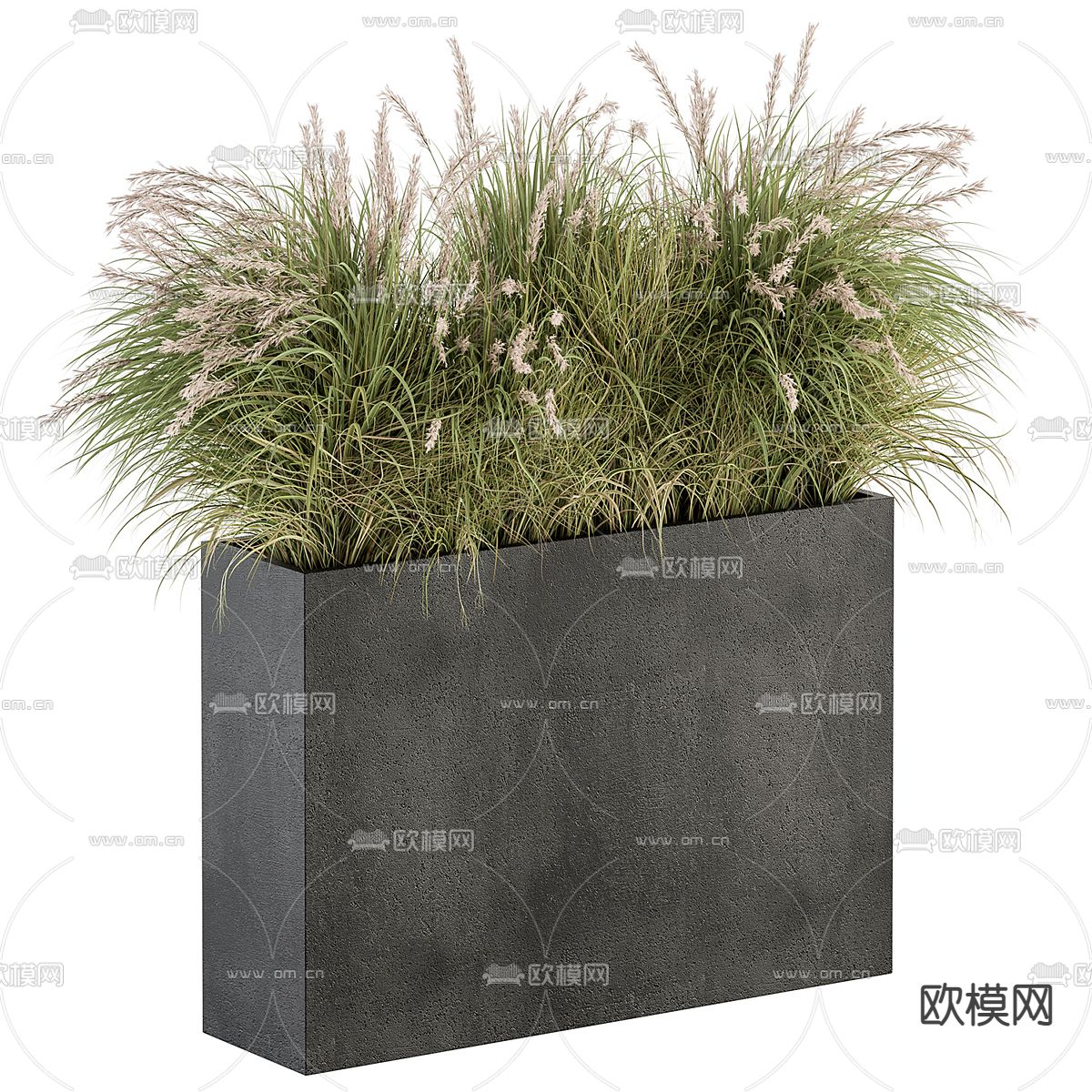 盆栽 花箱 花钵3d模型下载（渲染图1）