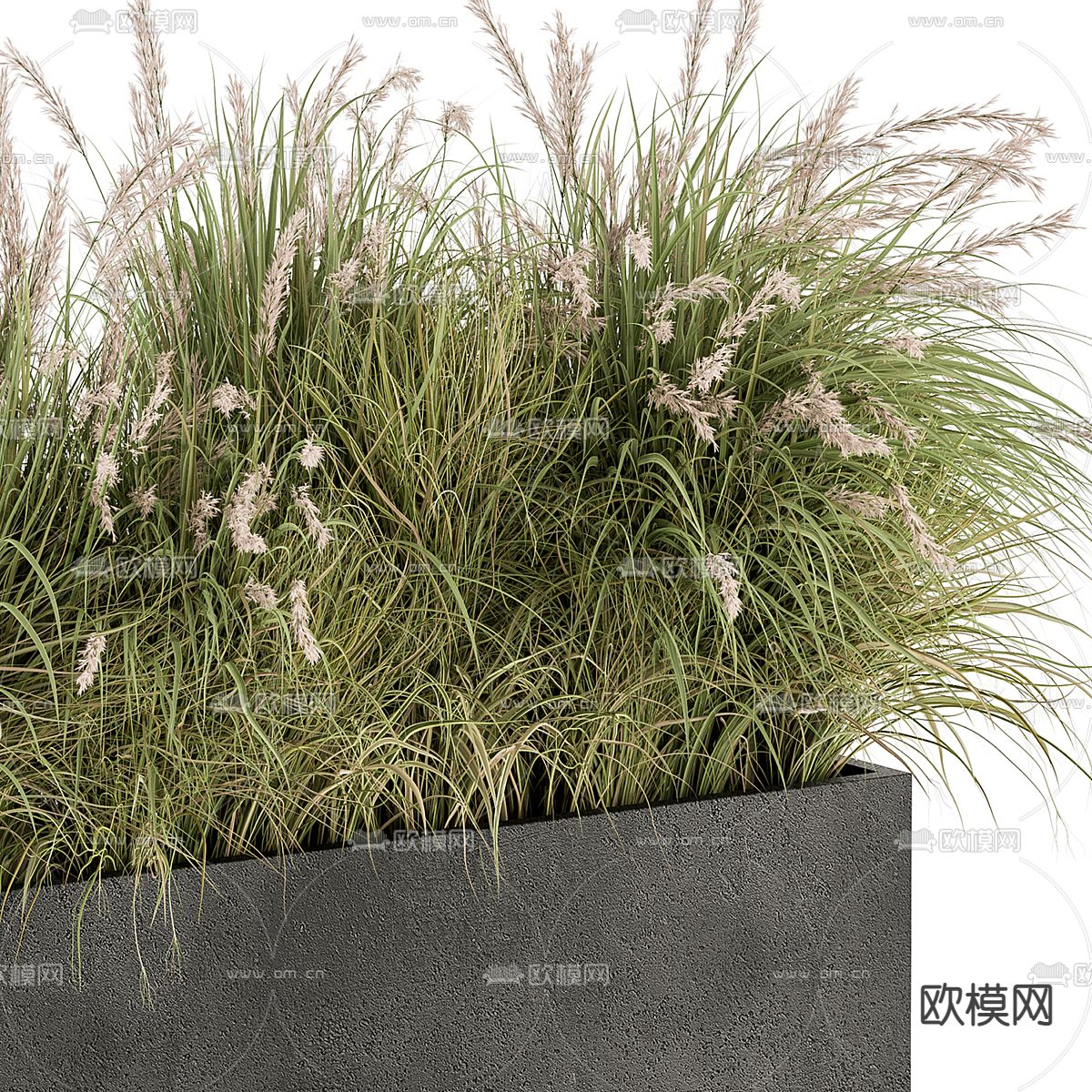 盆栽 花箱 花钵3d模型下载（渲染图4）