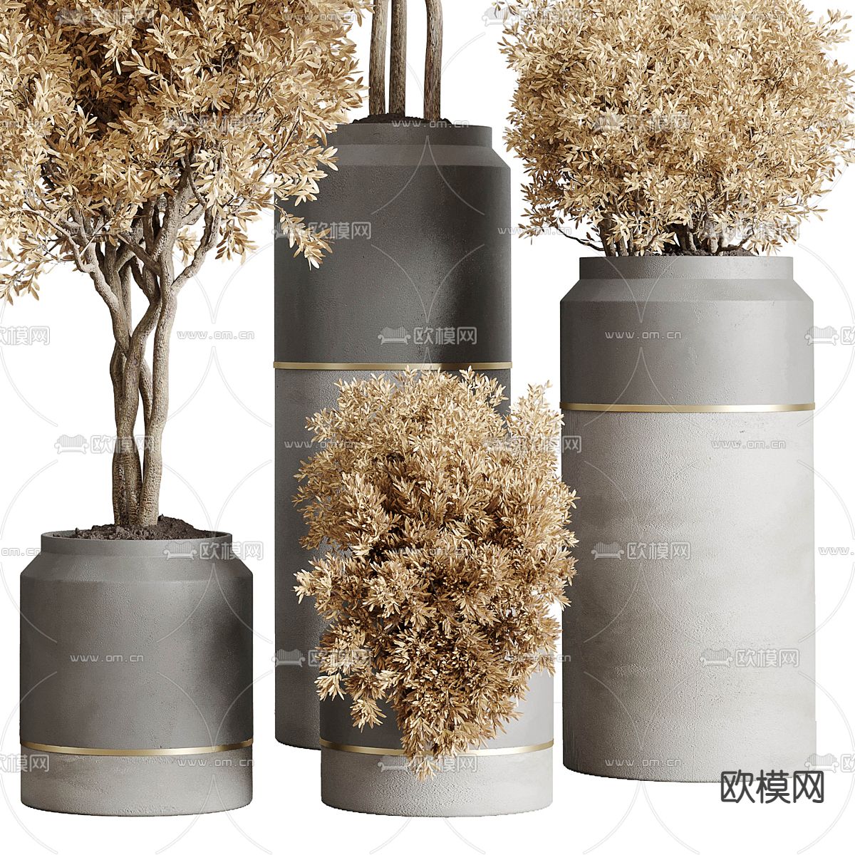 绿植盆栽 陶罐盆景3d模型下载（渲染图2）