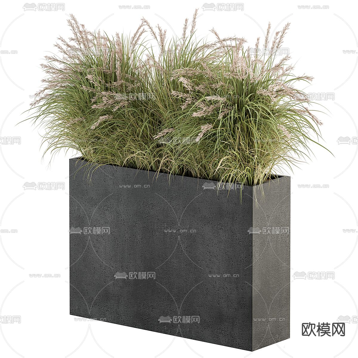 盆栽 花箱 花钵3d模型下载（渲染图2）