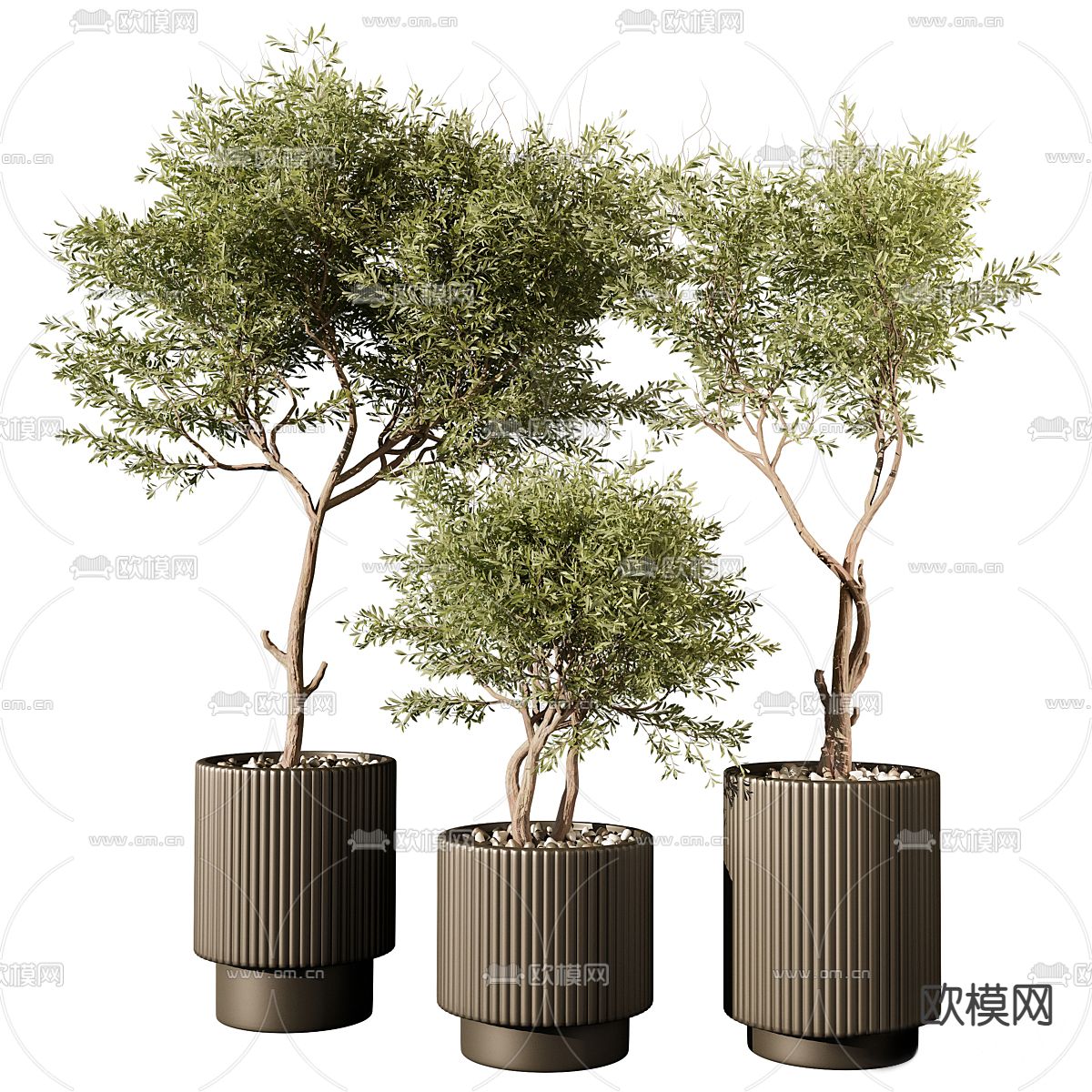 盆栽 盆景3d模型下载_ID13048947_3dmax免费模型-欧模网