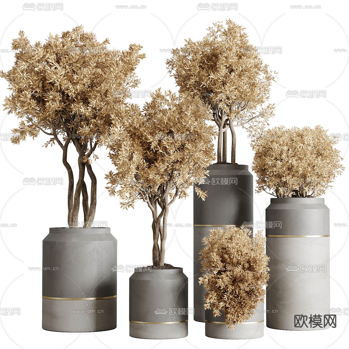 绿植盆栽 陶罐盆景3d模型下载（渲染图1）