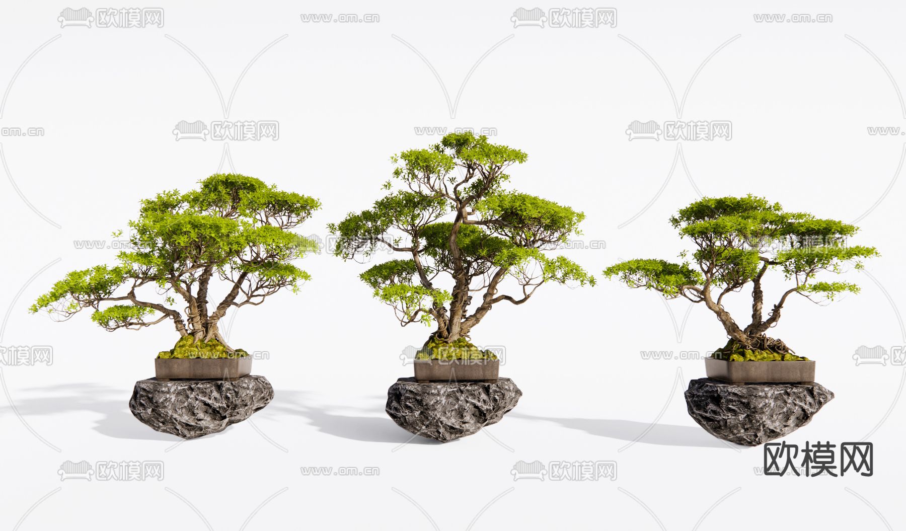 新中式松树盆景su模型下载