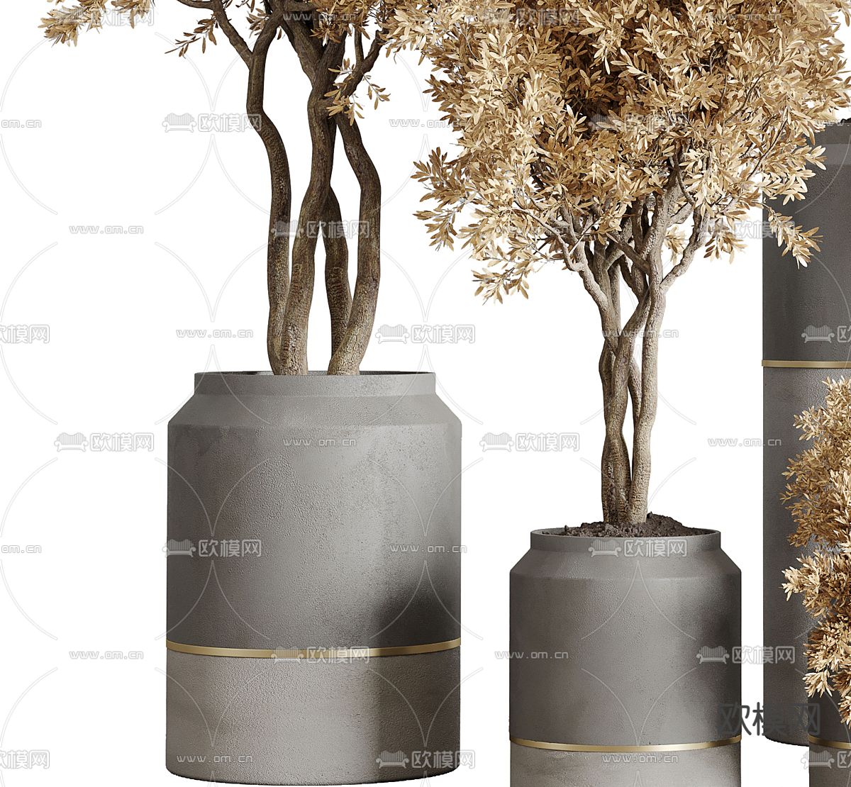 绿植盆栽 陶罐盆景3d模型下载（渲染图3）