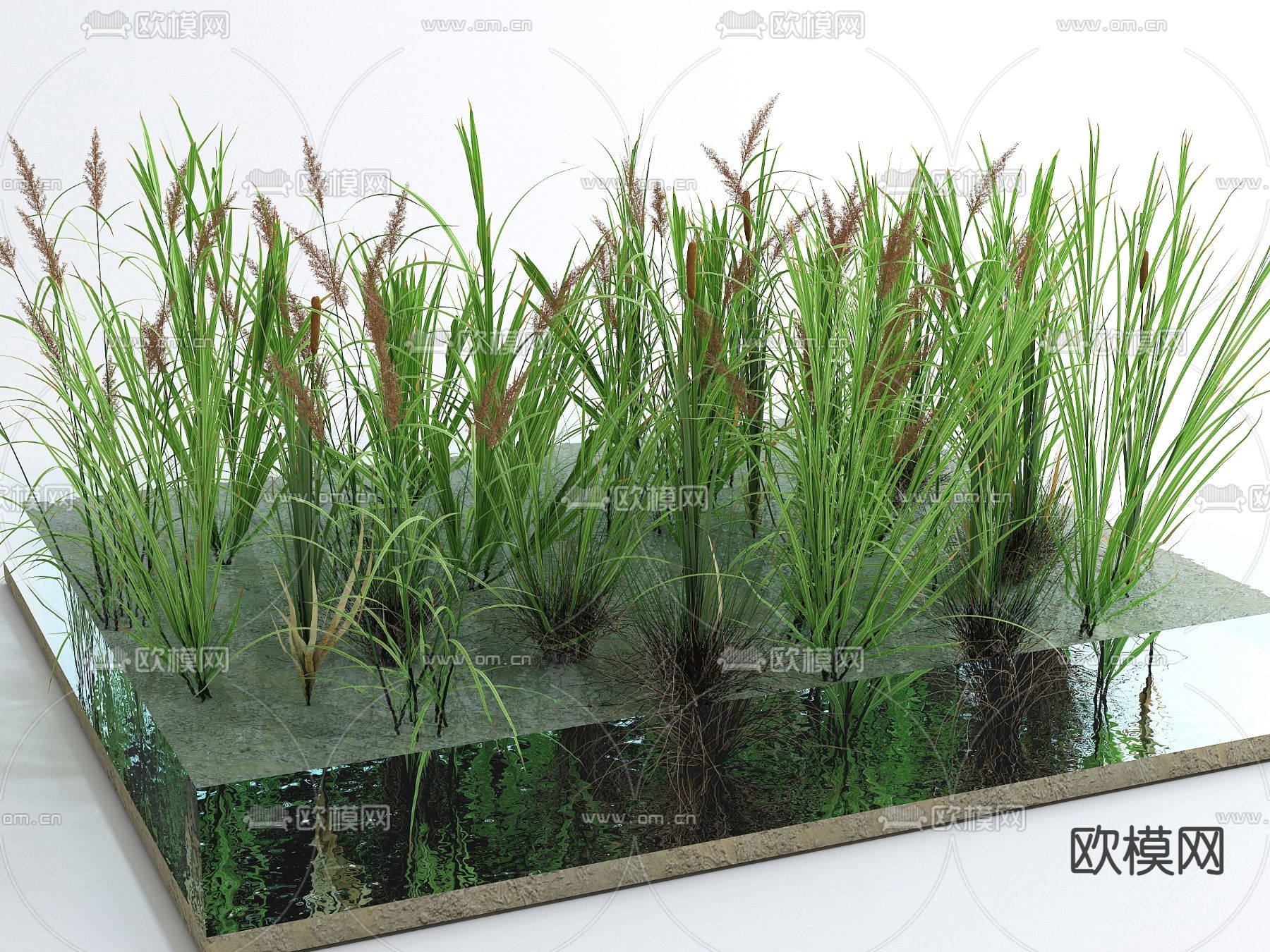 植物堆 绿植 草丛 芦苇荡3d模型下载_ID13045341_3dmax免费模型-欧模网
