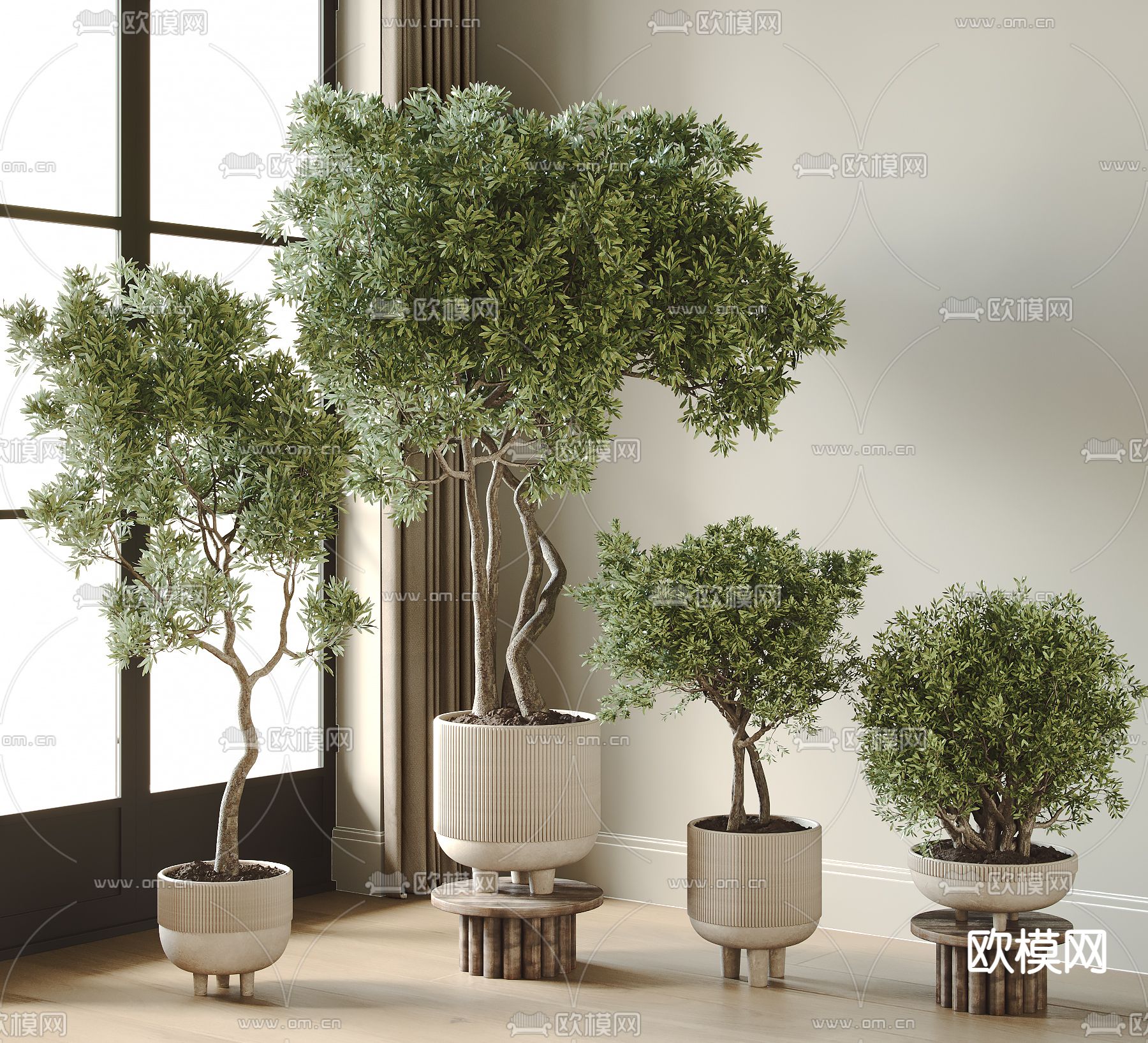 盆栽 盆景3d模型下载