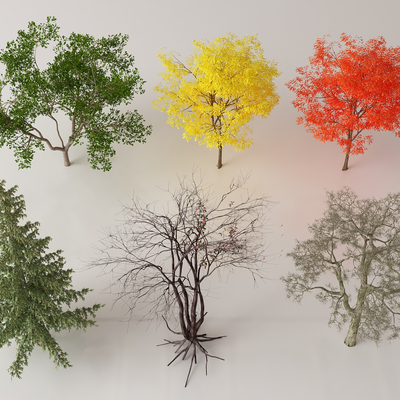  现代乔木 庭院树 行道树su模型 