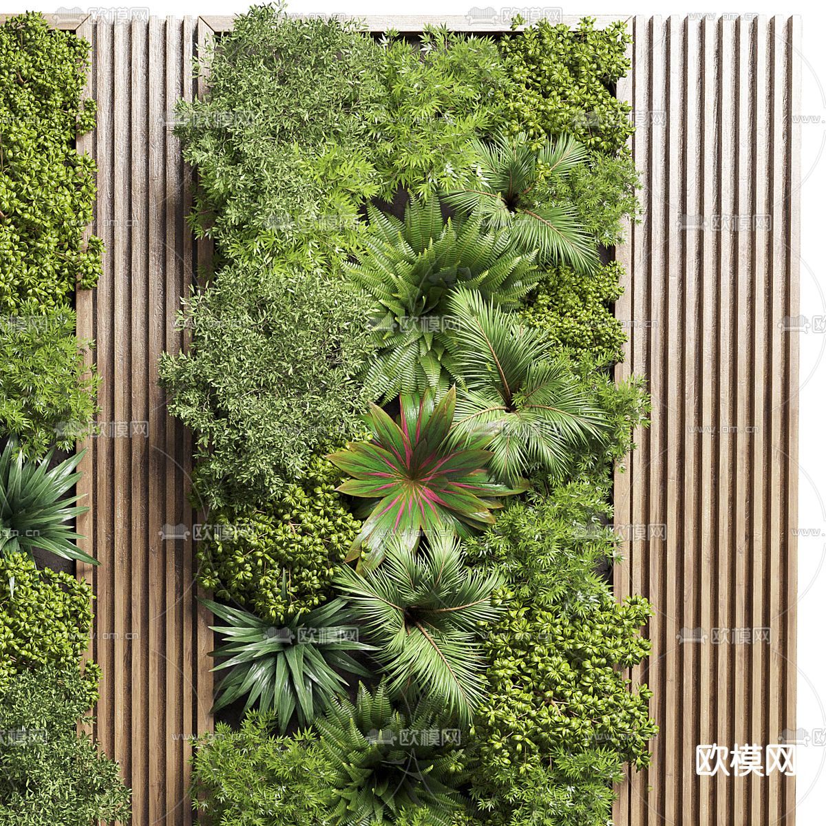 植物墙 绿植墙3d模型下载（渲染图5）