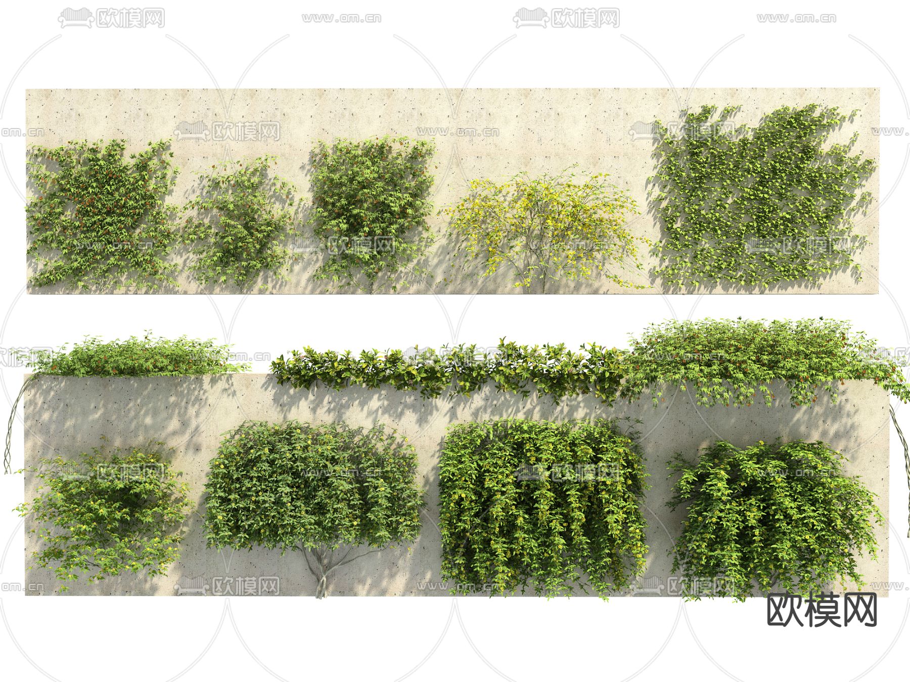 植物墙 藤曼3d模型下载