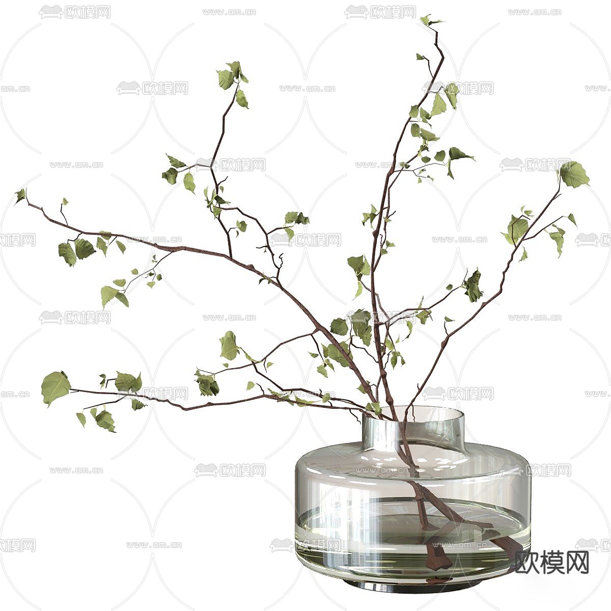 水培绿植 水养植物3d模型下载