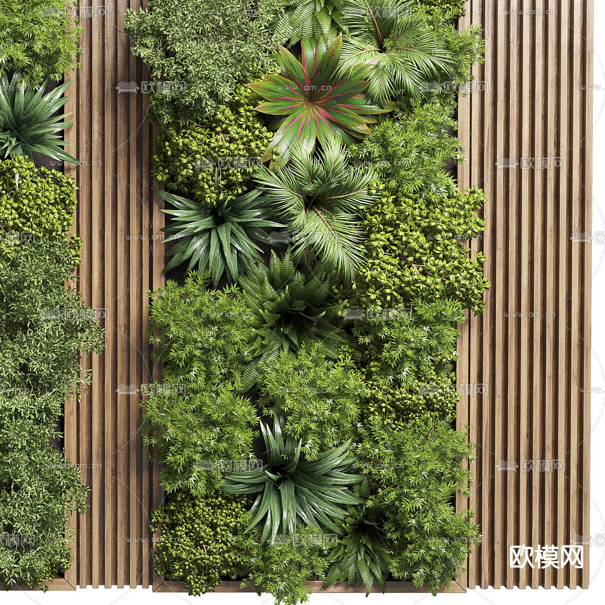 植物墙 绿植墙3d模型下载（渲染图4）
