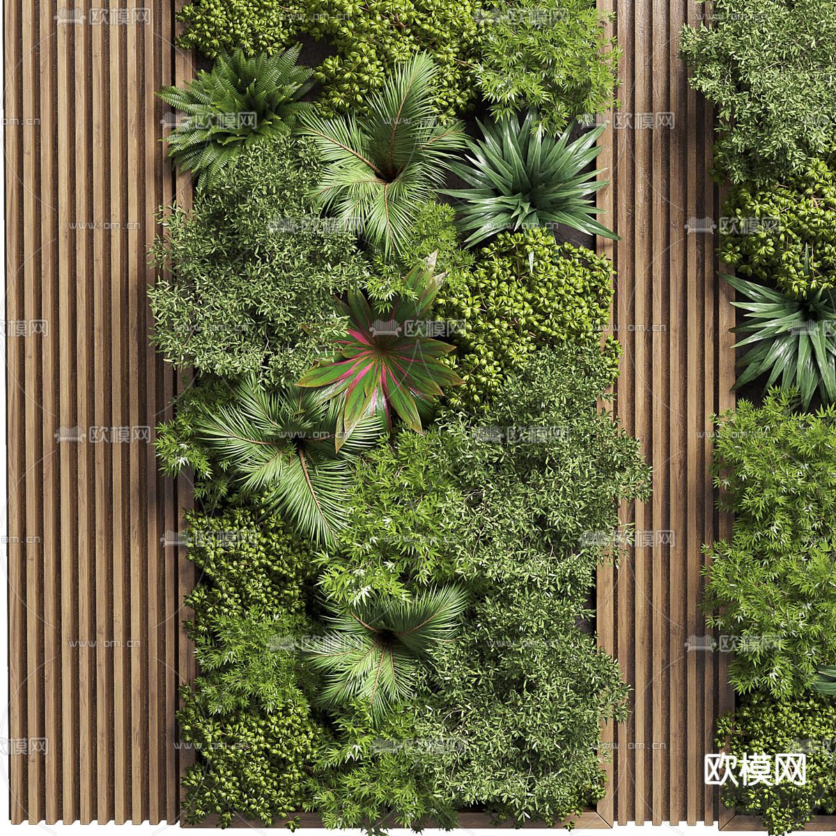植物墙 绿植墙3d模型下载（渲染图3）