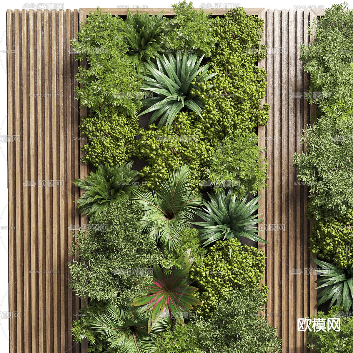 植物墙 绿植墙3d模型下载（渲染图2）