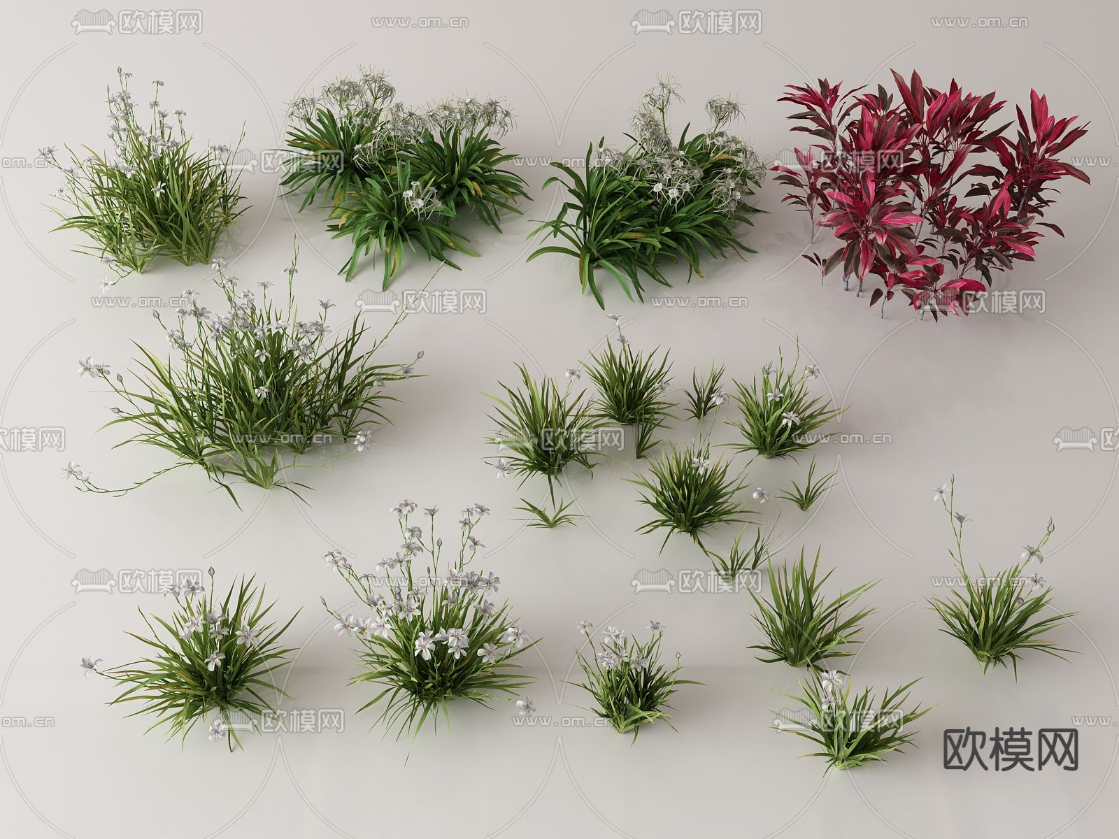 绿植花丛 花簇 花草su模型下载（渲染图1）