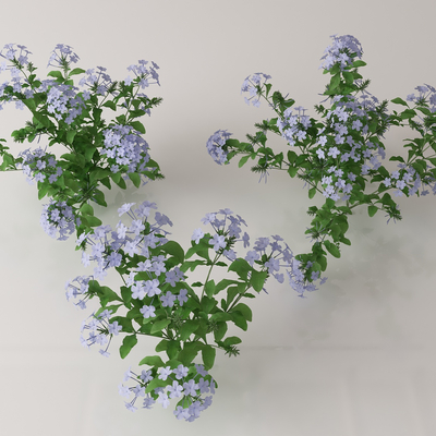  绿植花丛 花簇 花草su模型 