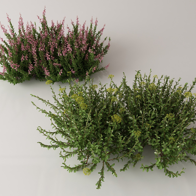  绿植花丛 花簇 花草su模型 
