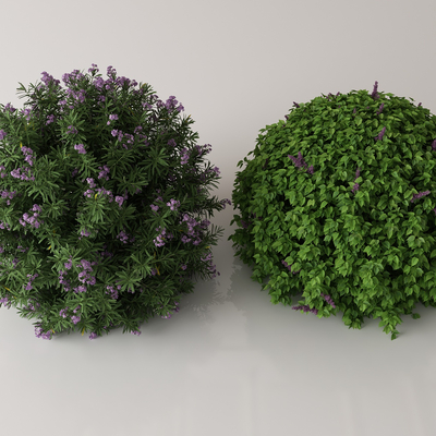  绿植花丛 花簇 花草su模型 