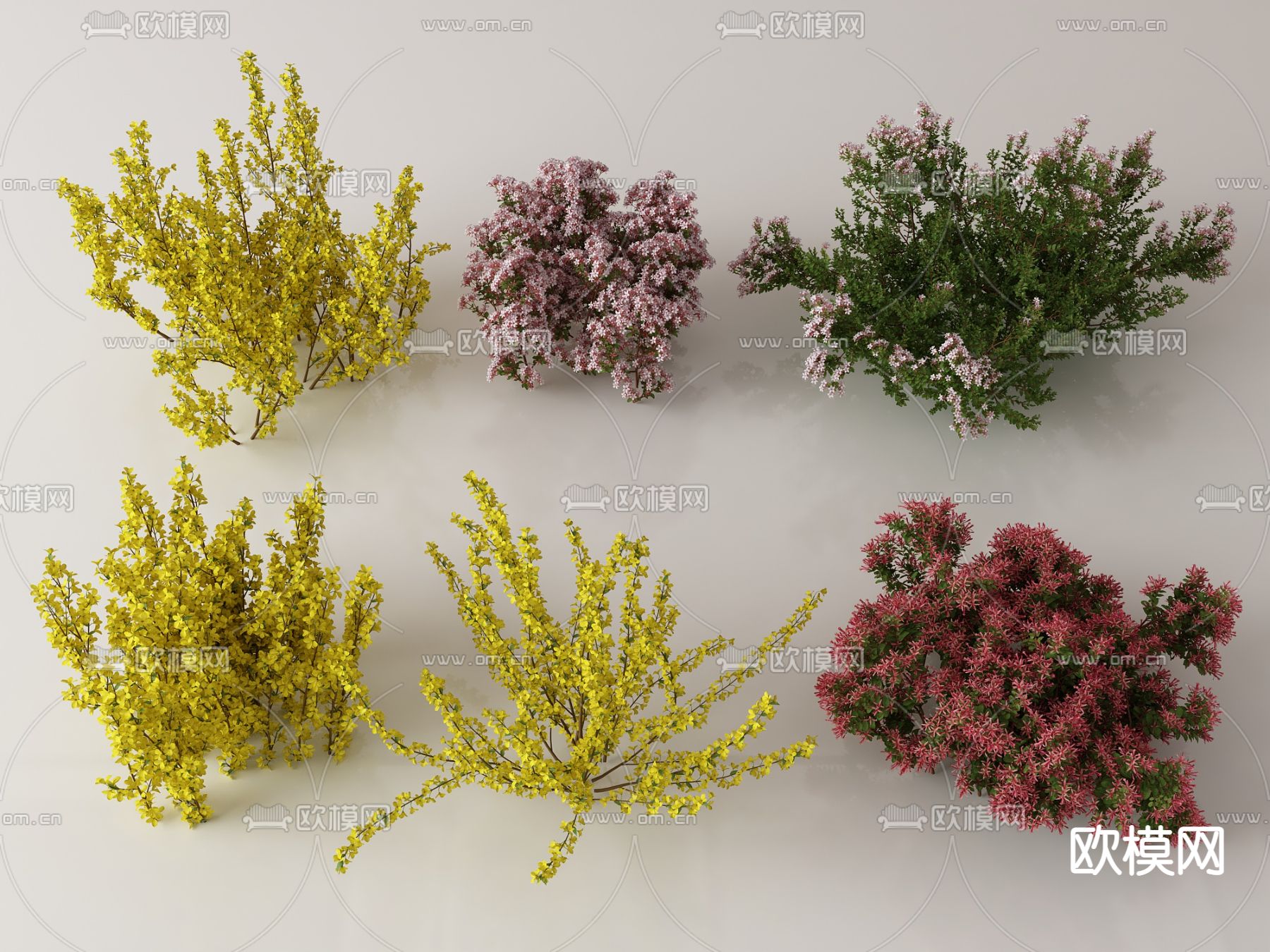 绿植灌木su模型下载（渲染图1）