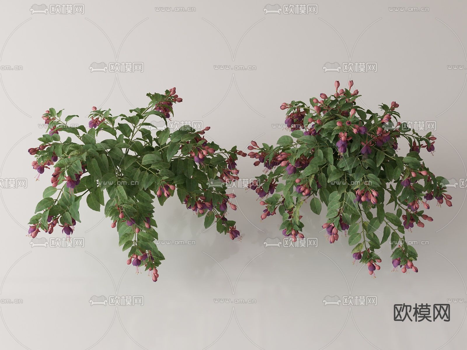 绿植花丛 花簇 花草su模型下载（渲染图1）