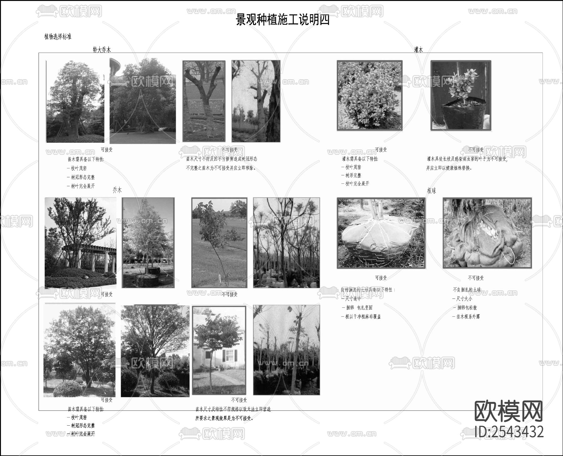 景观种植施工说明cad图库下载（渲染图4）