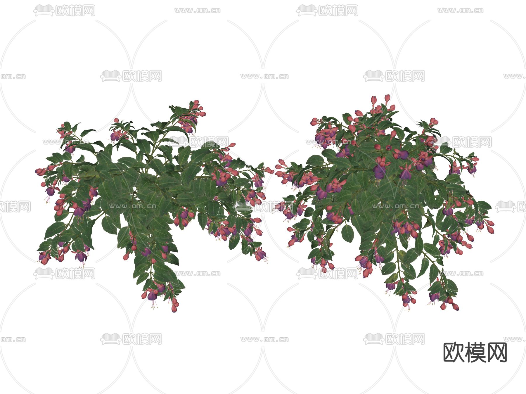 绿植花丛 花簇 花草su模型下载（渲染图2）