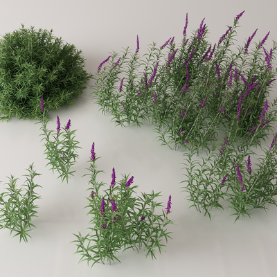  绿植花丛 花簇 花草su模型 