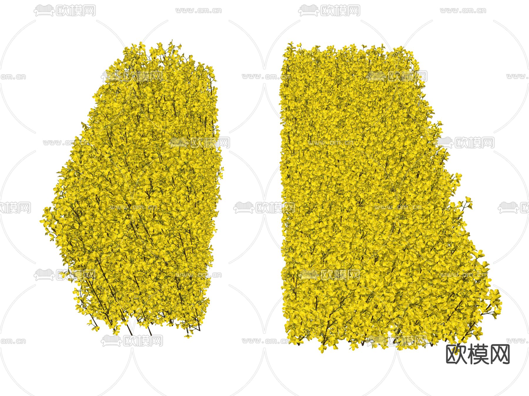 绿植灌木su模型下载（渲染图2）