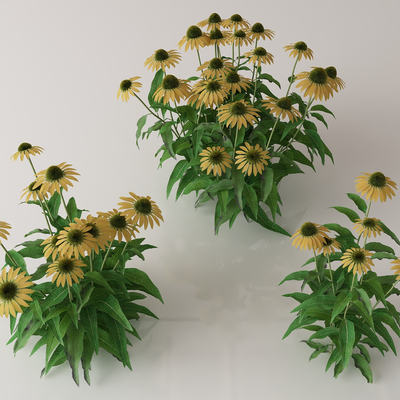  绿植花丛 花簇 花草su模型 