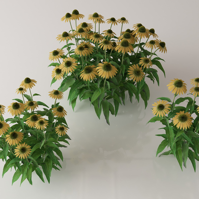  绿植花丛 花簇 花草su模型 