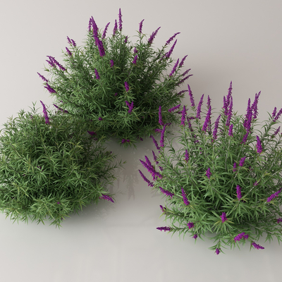  绿植花丛 花簇 花草su模型 