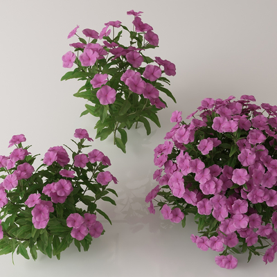  绿植花丛 花簇 花草su模型 