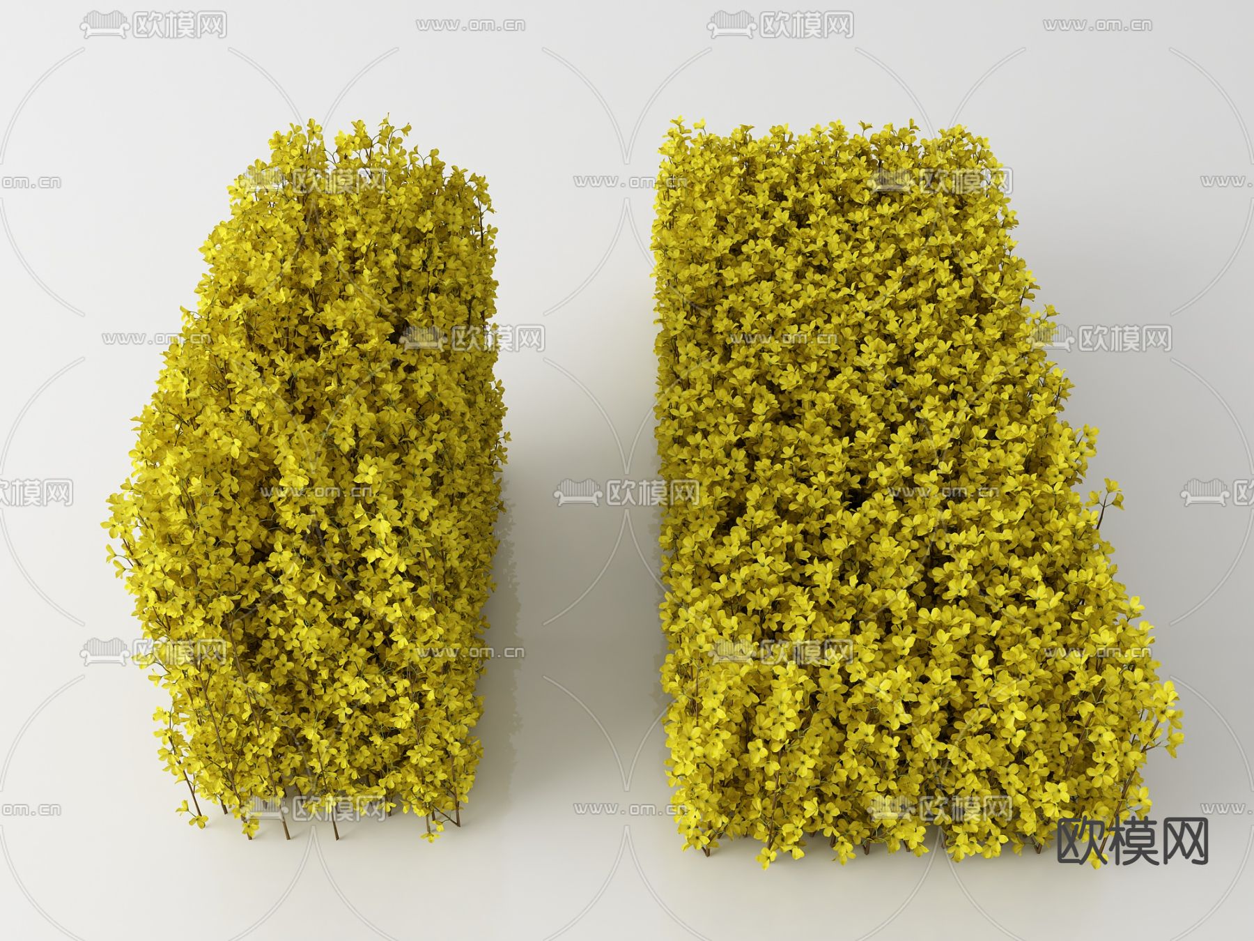 绿植灌木su模型下载（渲染图1）