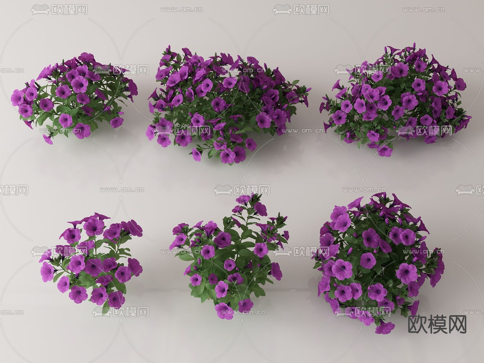 绿植花丛 花簇 花草su模型下载（渲染图1）