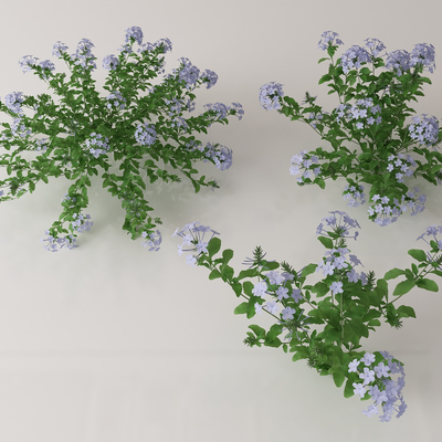  绿植花丛 花簇 花草su模型 