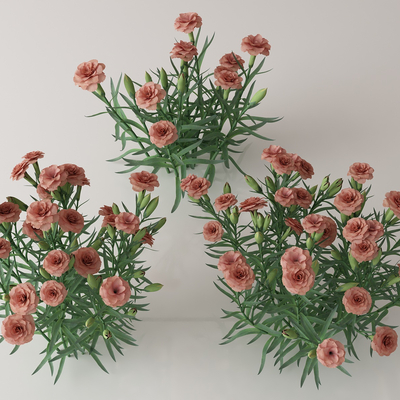  绿植花丛 花簇 花草su模型 