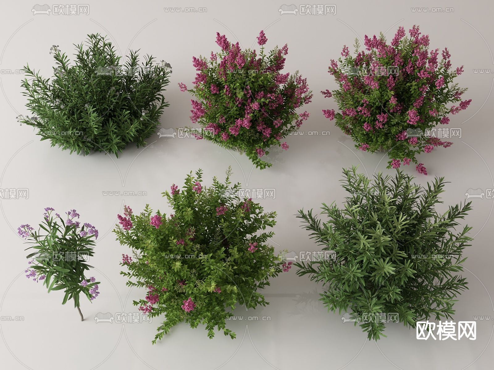 绿植花丛 花簇 花草su模型下载（渲染图1）