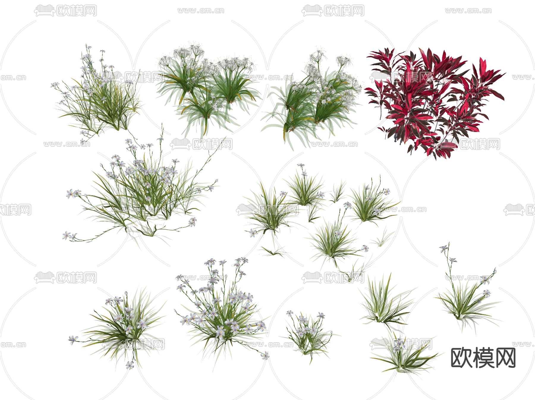 绿植花丛 花簇 花草su模型下载（渲染图2）