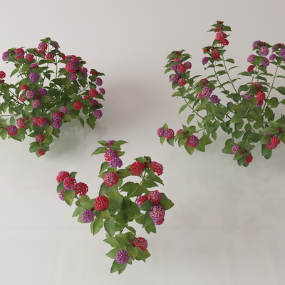  绿植花丛 花簇 花草su模型 