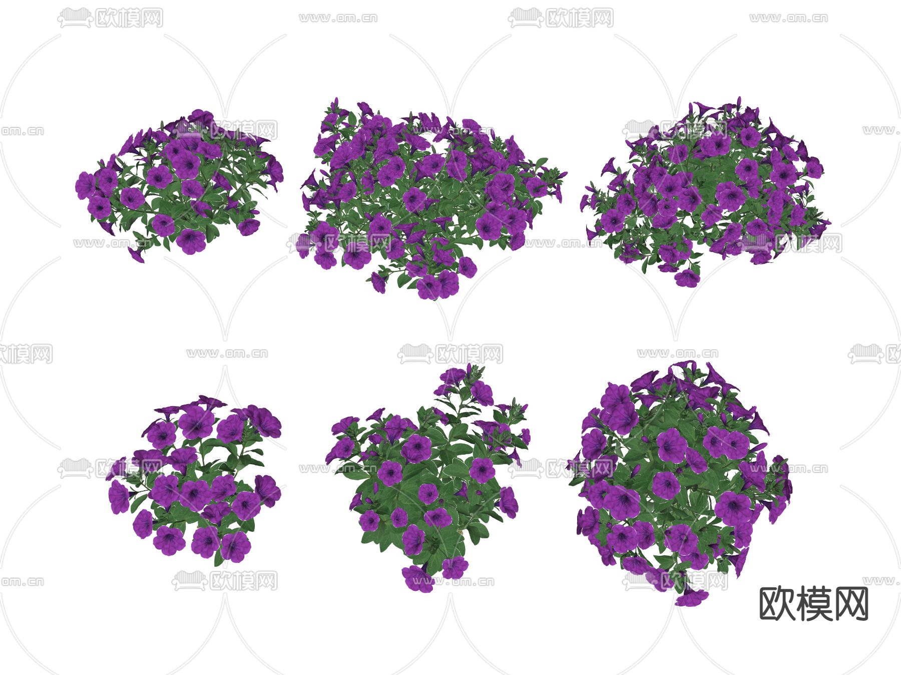 绿植花丛 花簇 花草su模型下载（渲染图2）