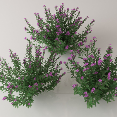  绿植花丛 花簇 花草su模型 