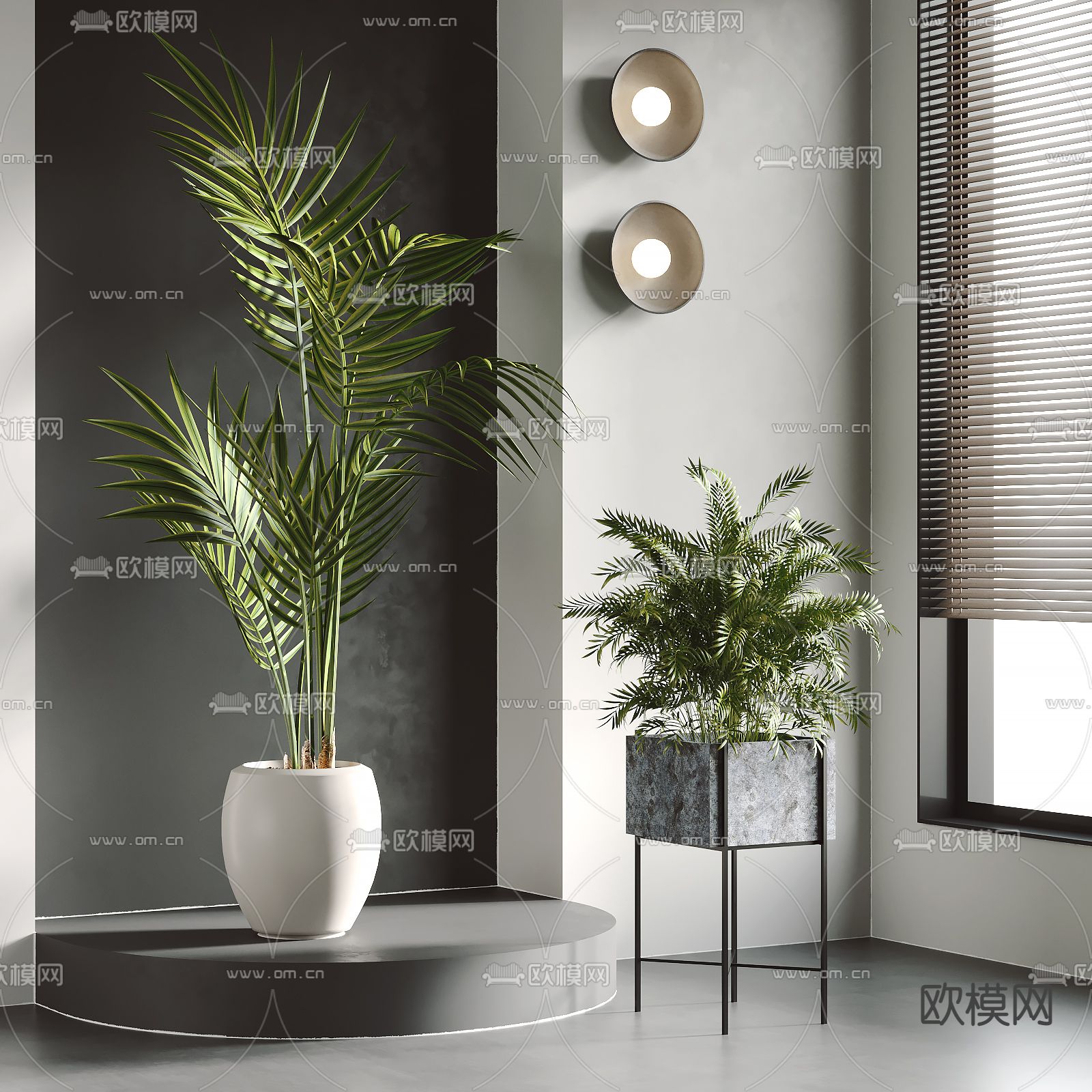 盆栽 盆景su模型下载（渲染图1）