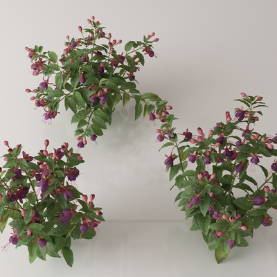  绿植花丛 花簇 花草su模型 