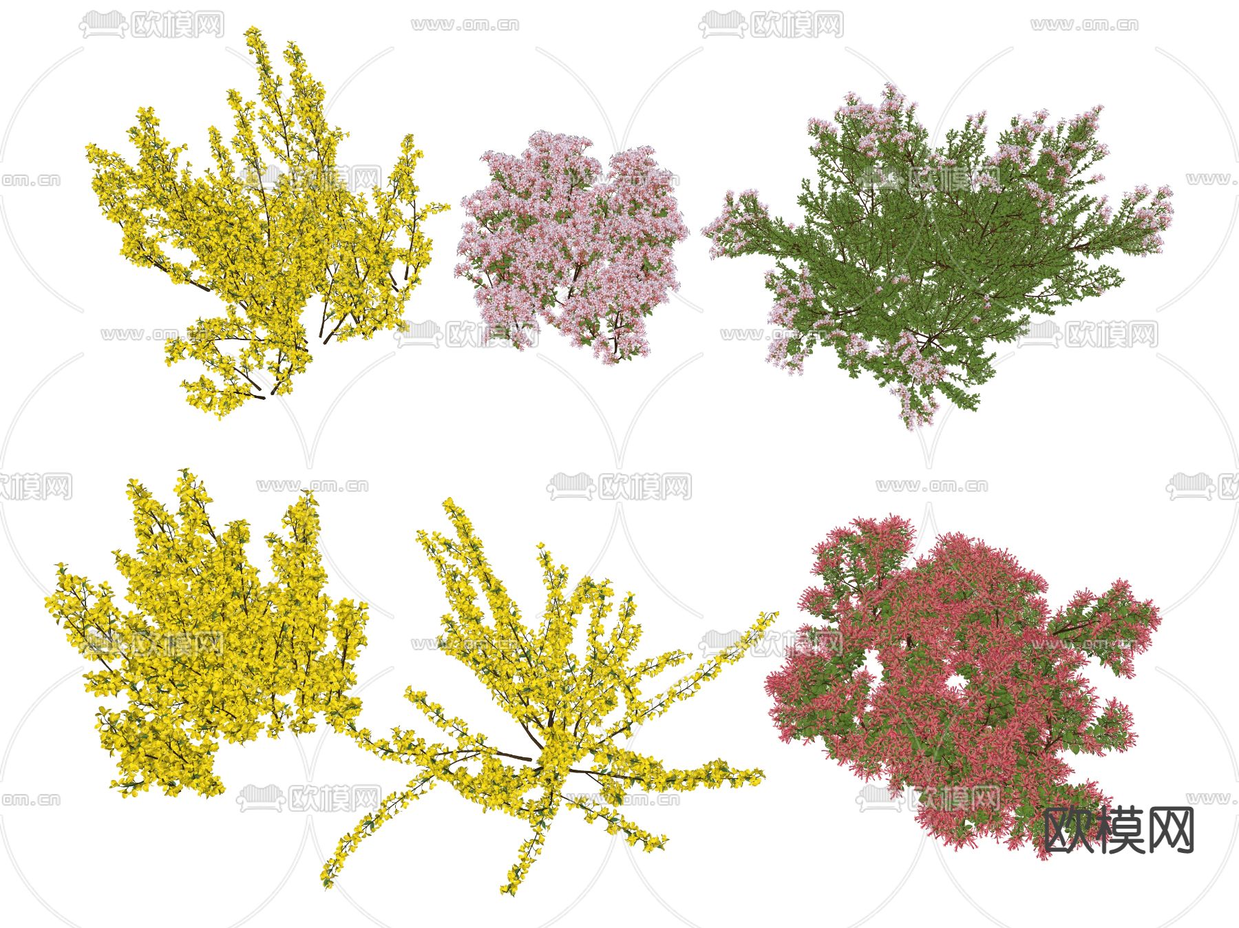 绿植灌木su模型下载（渲染图2）