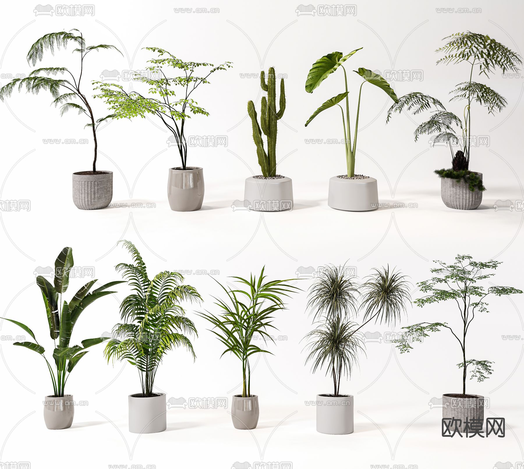 盆栽 绿植su模型下载_ID14004773_sketchup模型下载-欧模网