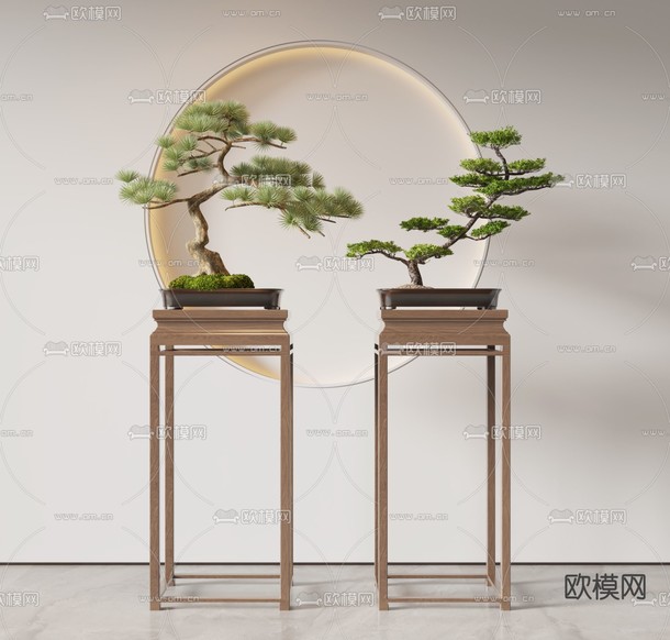 松柏盆栽 盆景3d模型下载