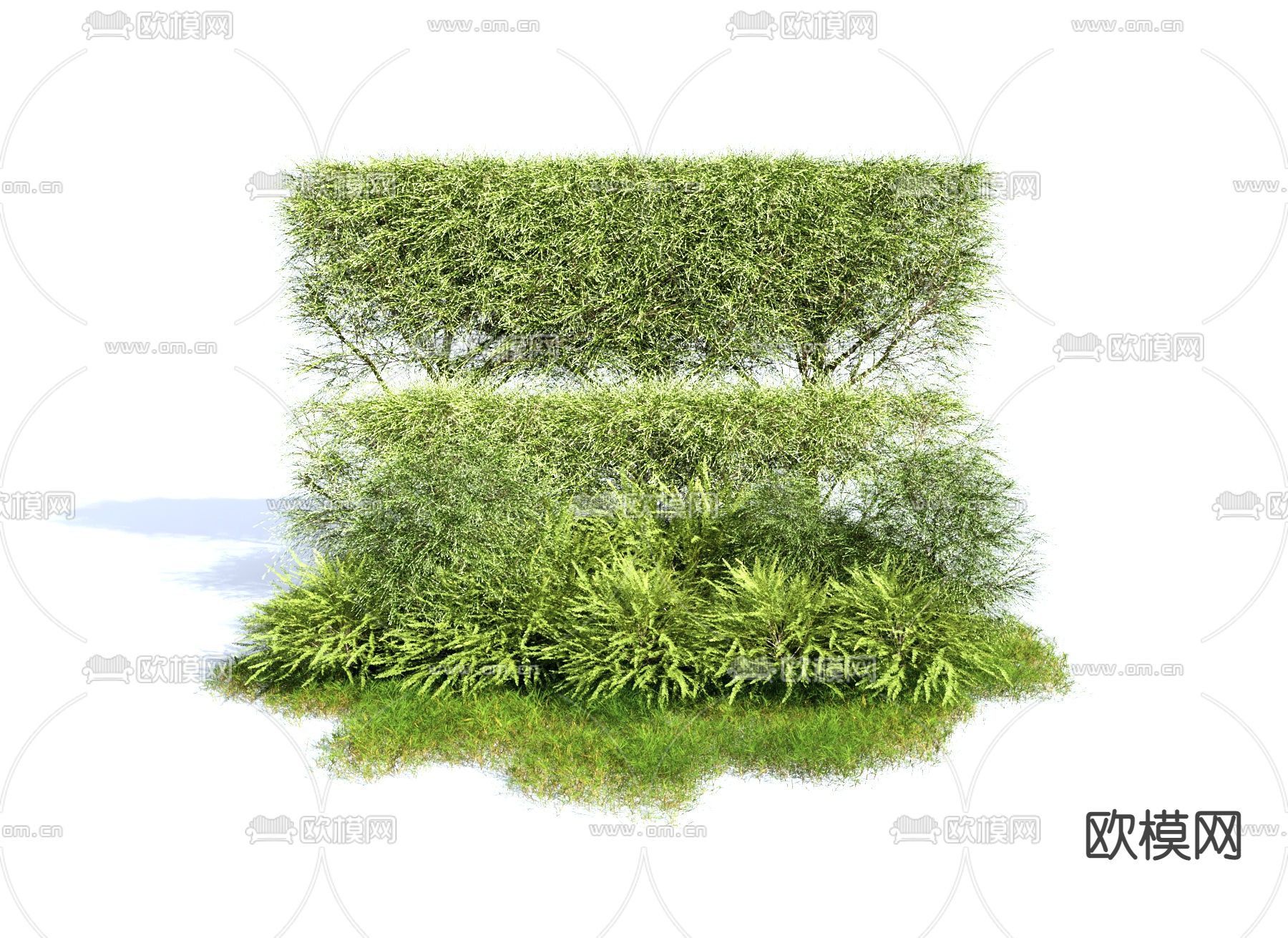 灌木丛 植物堆3d模型下载