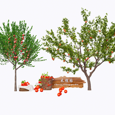  石榴树 苹果树 果树su模型 